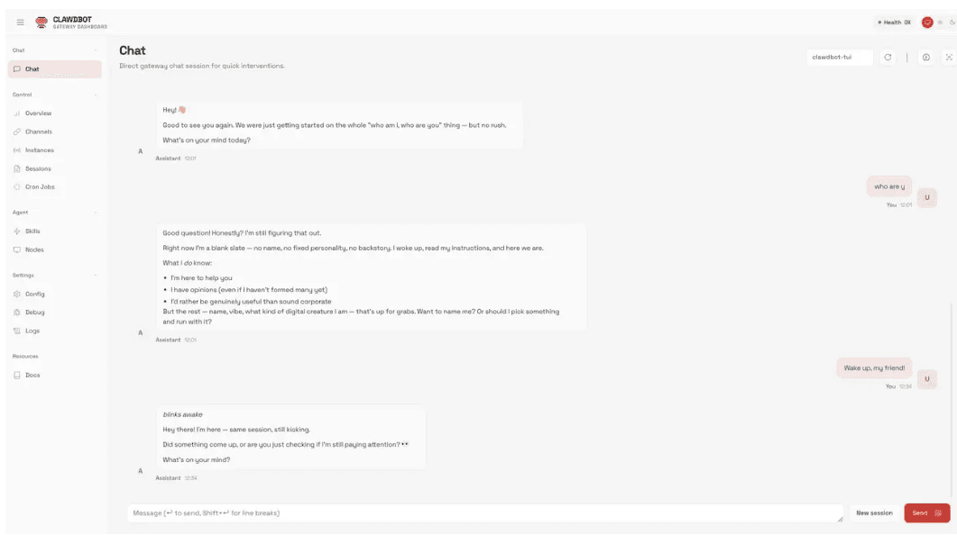 Launch OpenClaw and begin chatting