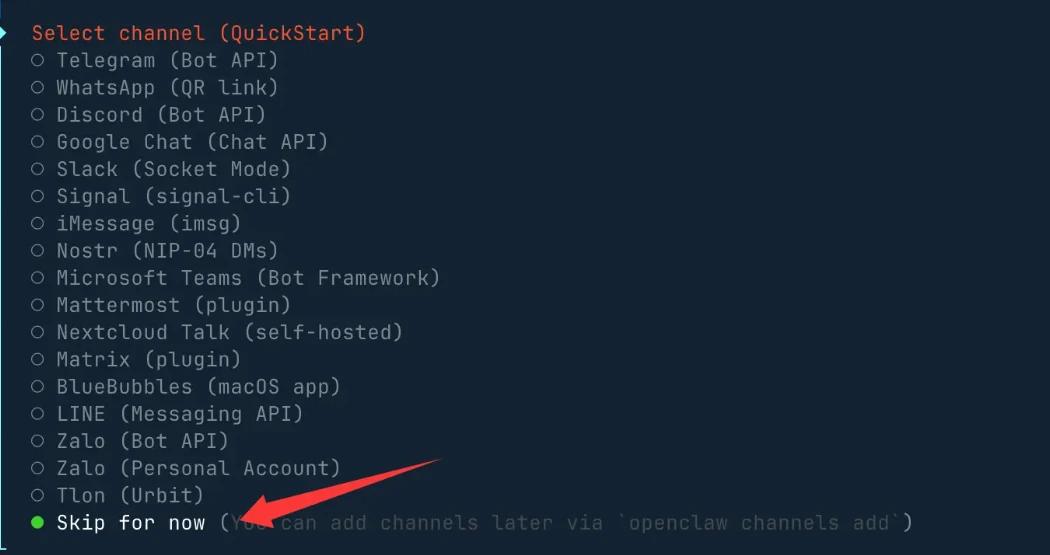 Review optional settings and continue